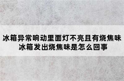 冰箱异常响动里面灯不亮且有烧焦味 冰箱发出烧焦味是怎么回事